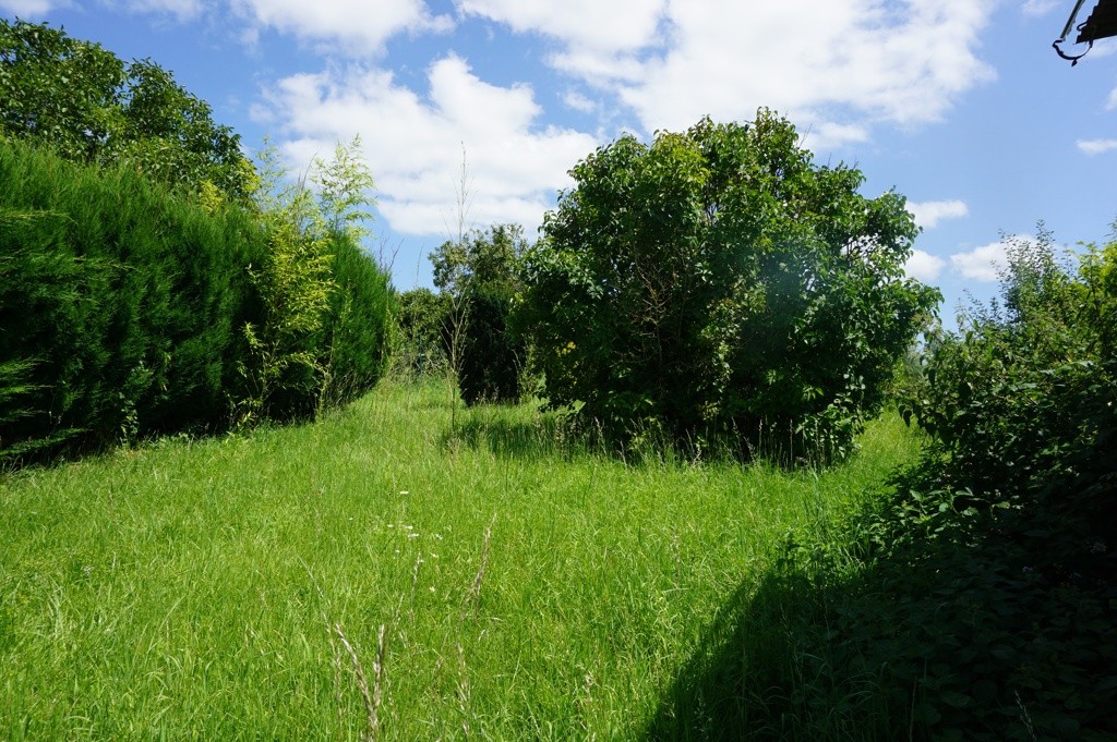 Vente Maison à le Donjon 6 pièces