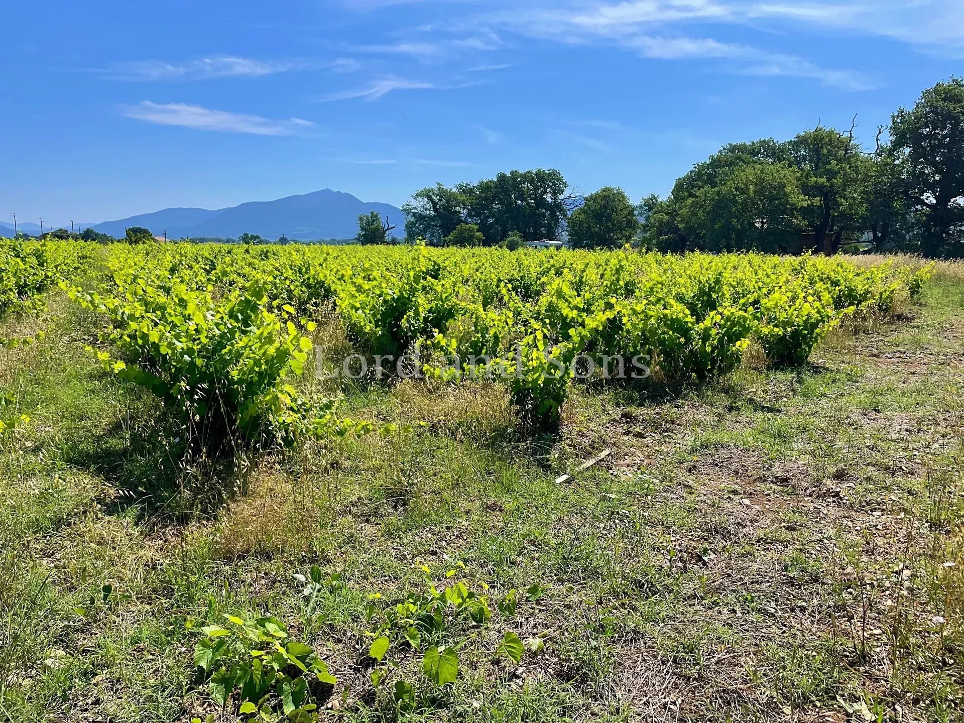 Vente Maison à Vinsobres 6 pièces