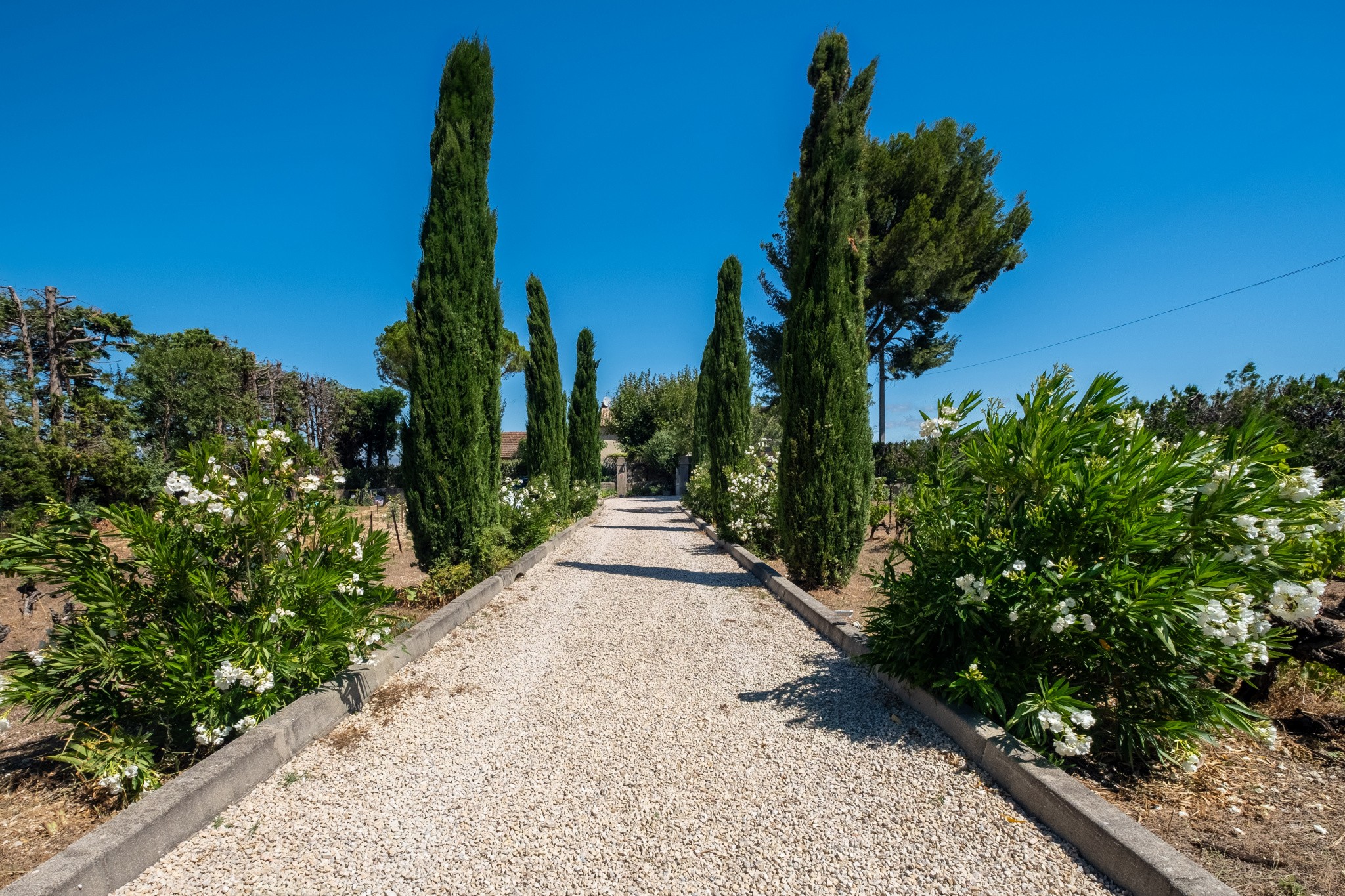 Vente Maison à Vacqueyras 7 pièces