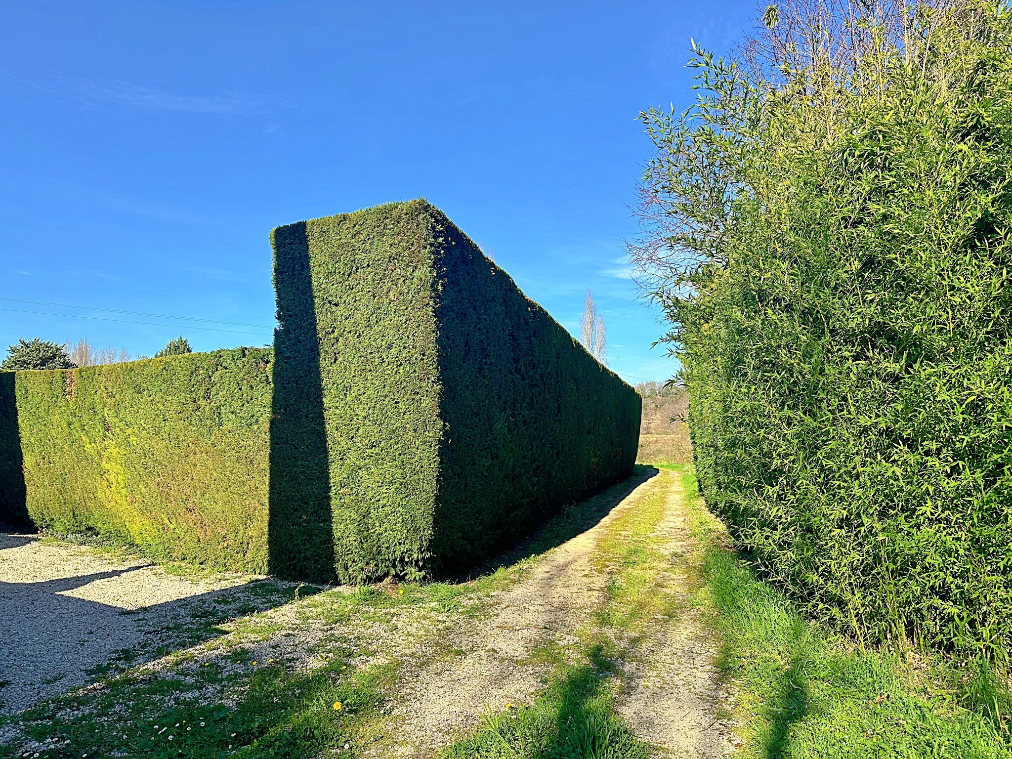 Vente Maison à Vaison-la-Romaine 8 pièces