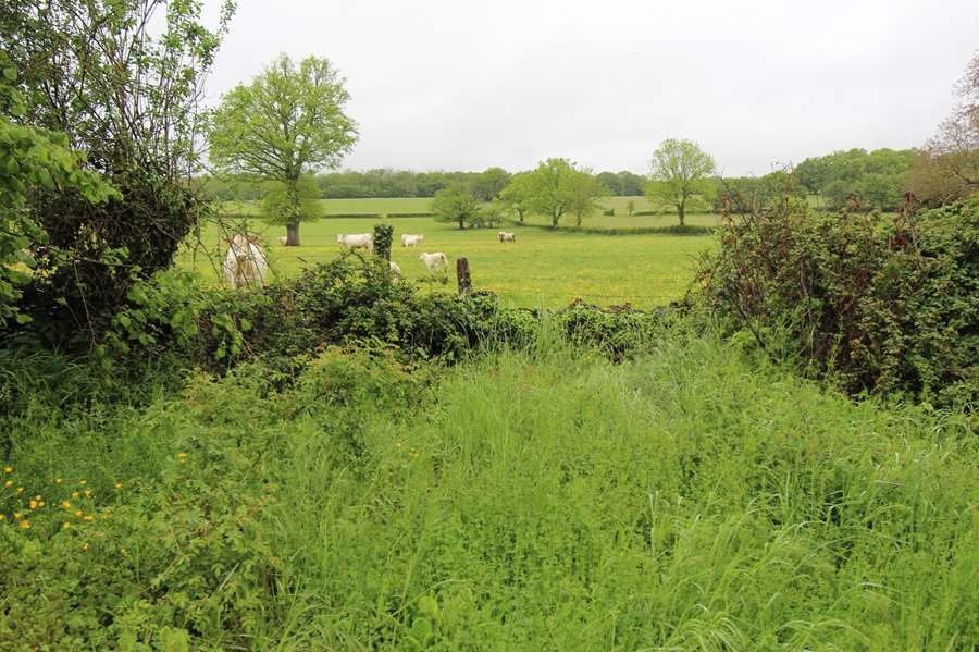 Vente Maison à Corbigny 7 pièces