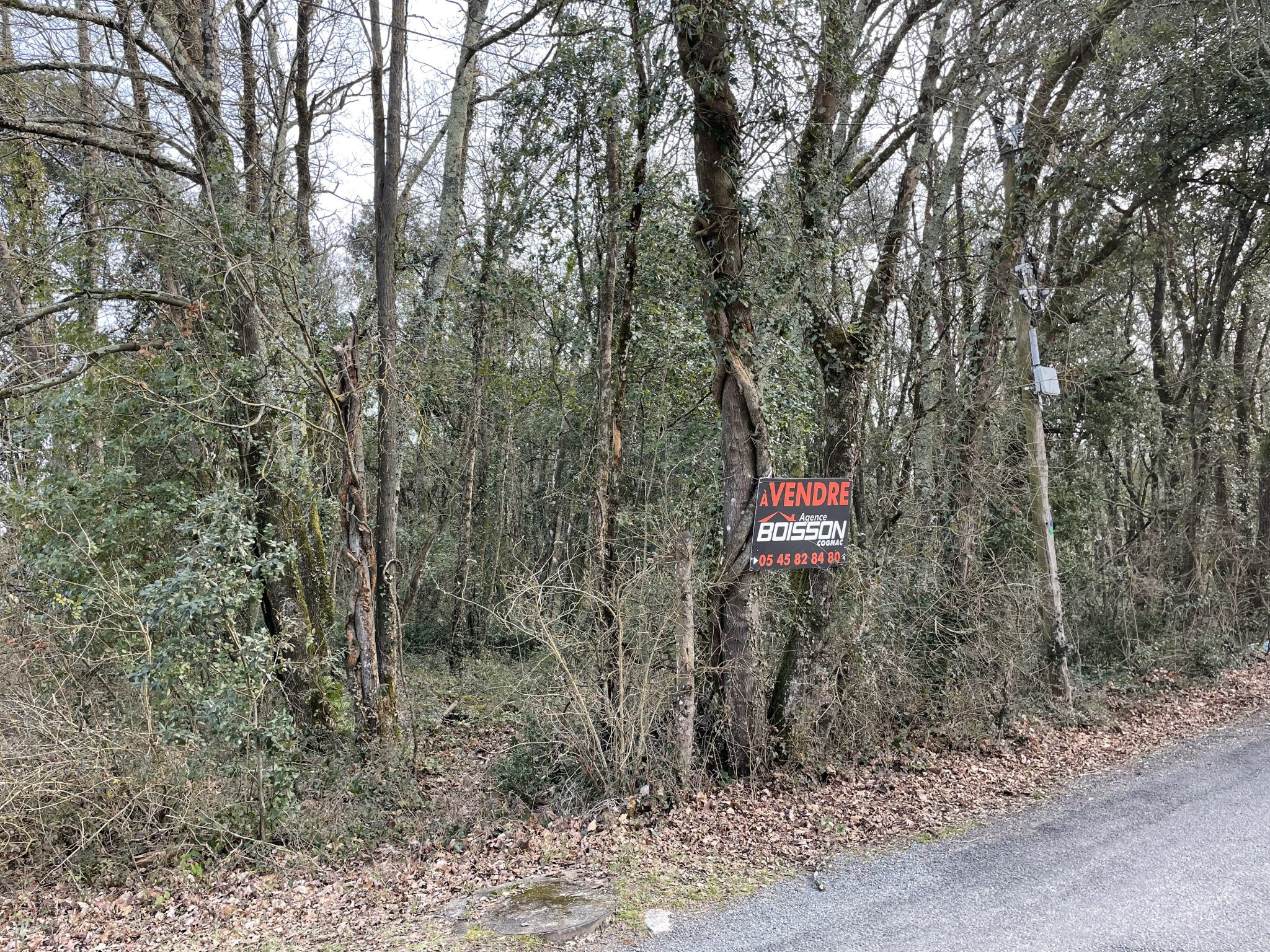 Vente Terrain à Louzac-Saint-André 0 pièce