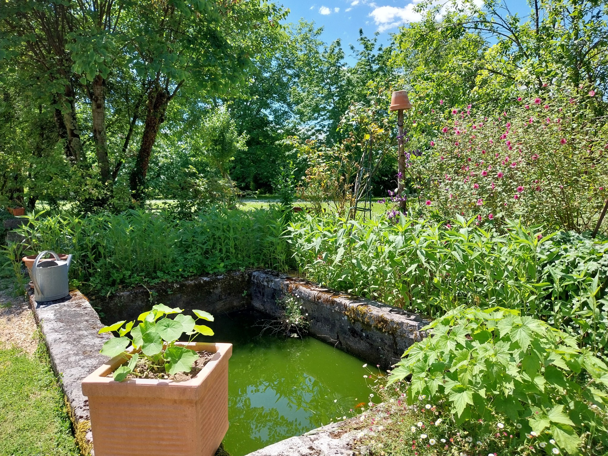 Vente Maison à Cognac 14 pièces