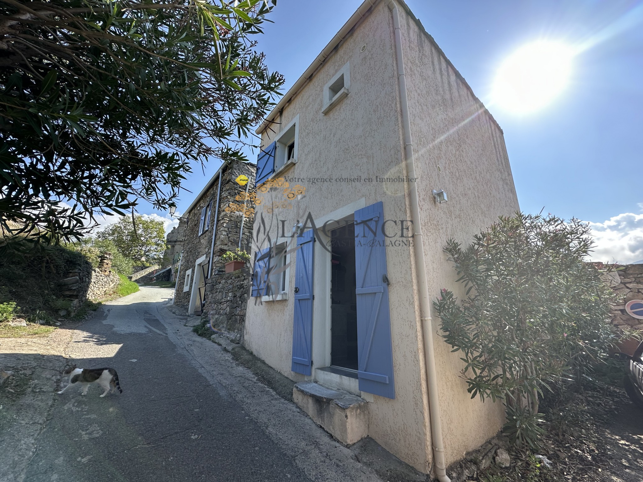 Vente Maison à Patrimonio 6 pièces