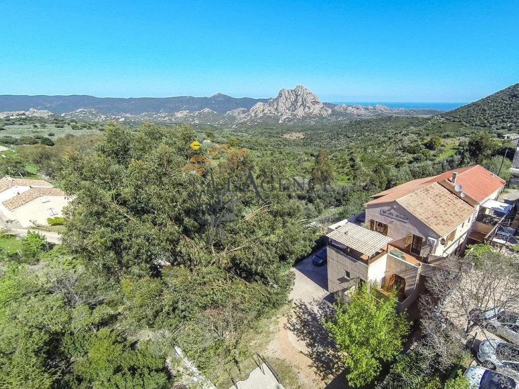 Vente Maison à Santo-Pietro-di-Tenda 0 pièce