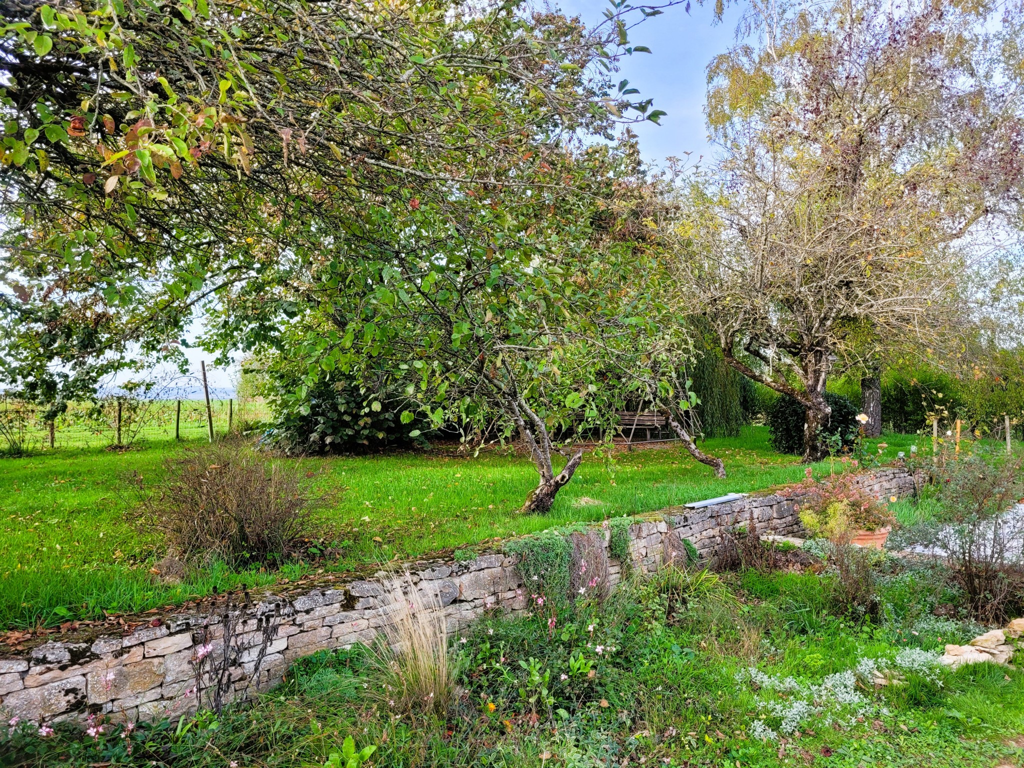 Vente Maison à Saint-Loup-Géanges 7 pièces