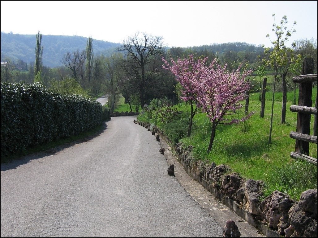 Vente Maison à Villefranche-de-Rouergue 3 pièces