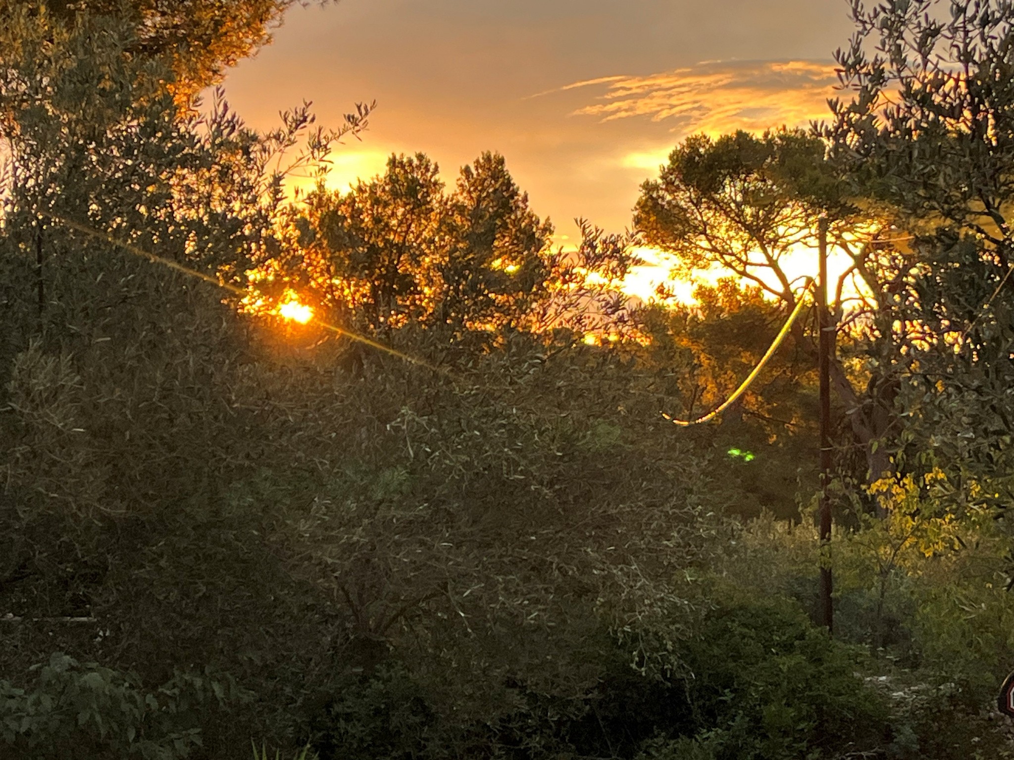 Vente Maison à Nîmes 7 pièces