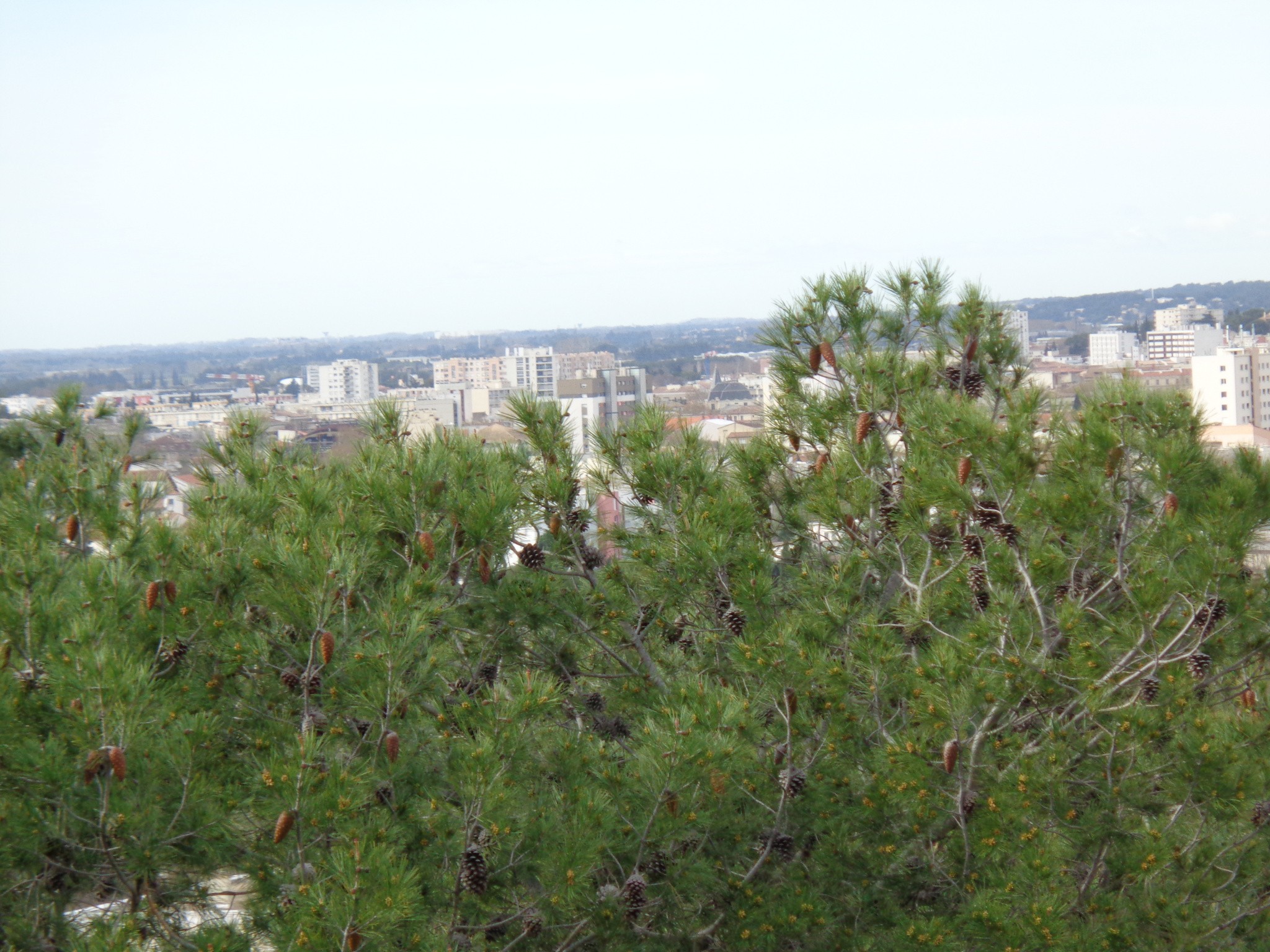 Vente Maison à Nîmes 6 pièces