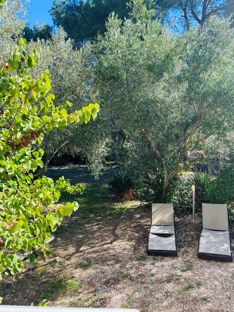 Vente Maison à Nîmes 7 pièces