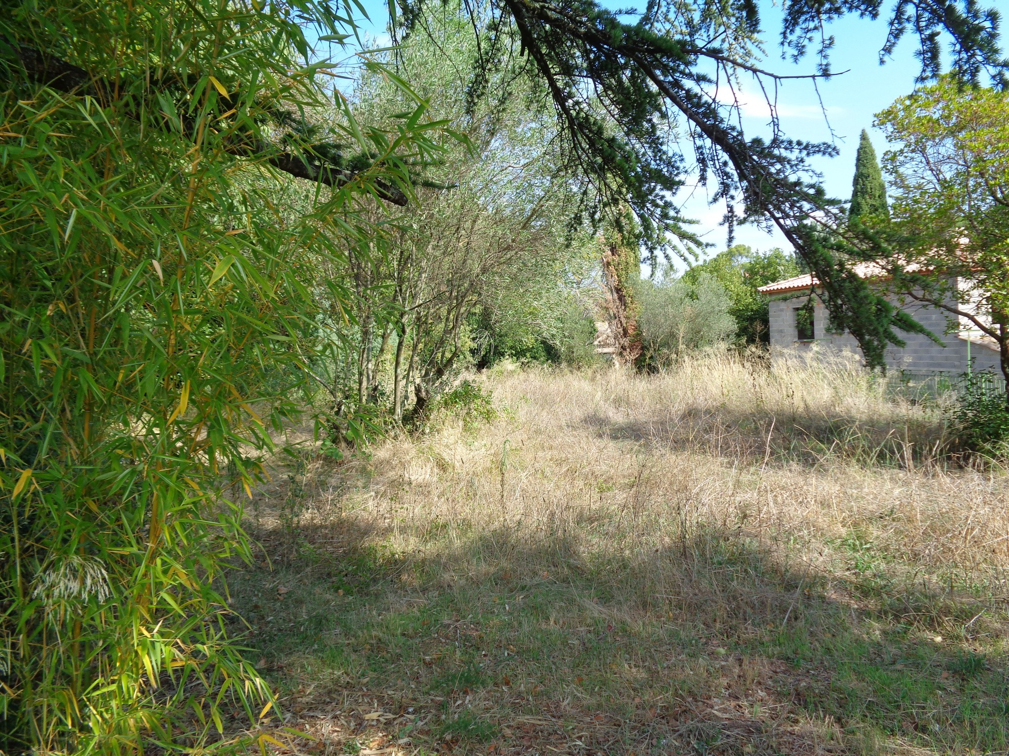 Vente Terrain à Nîmes 0 pièce