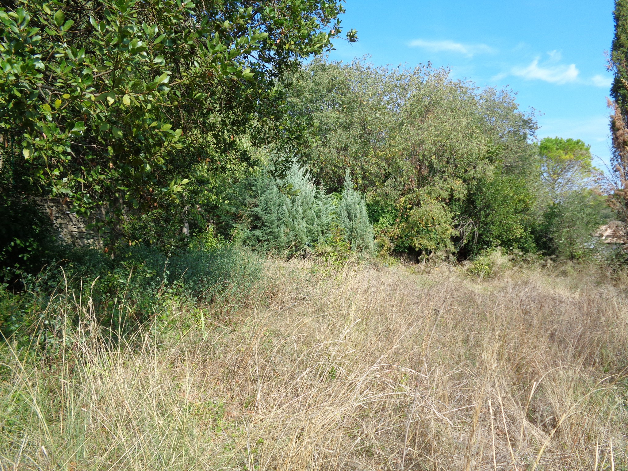 Vente Terrain à Nîmes 0 pièce