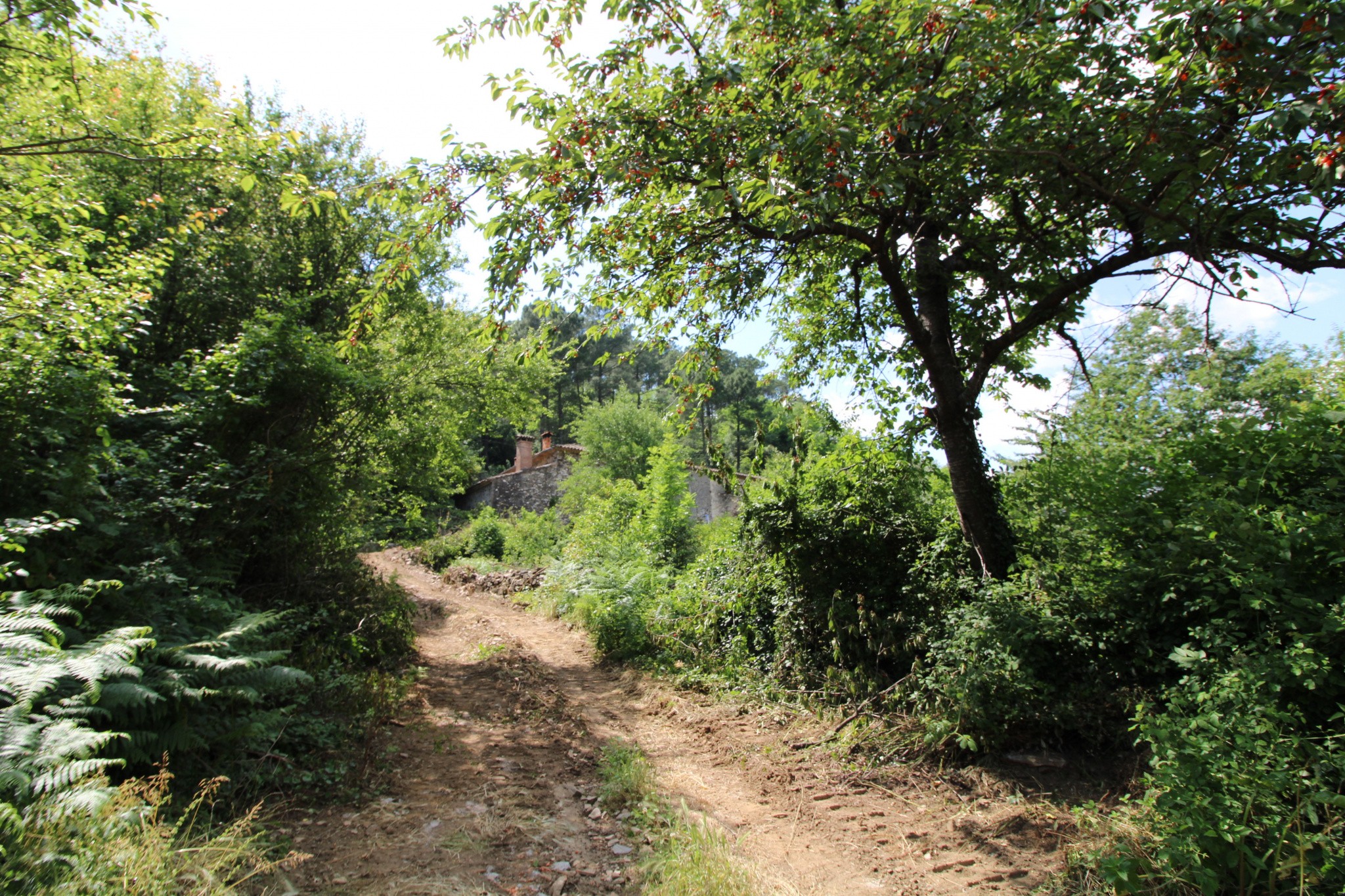 Vente Maison à Anduze 20 pièces