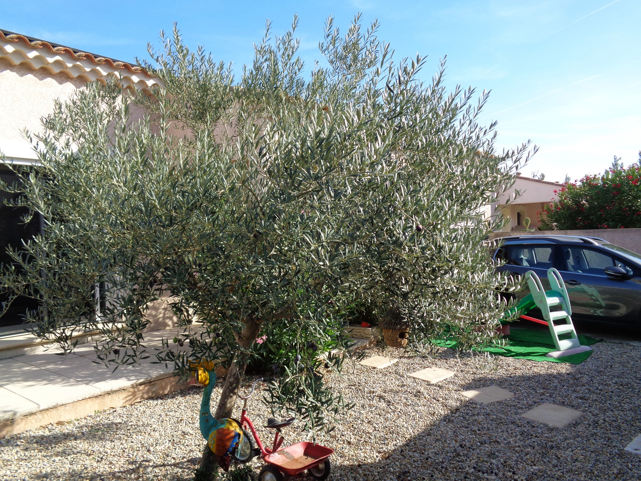 Vente Maison à Arles 5 pièces