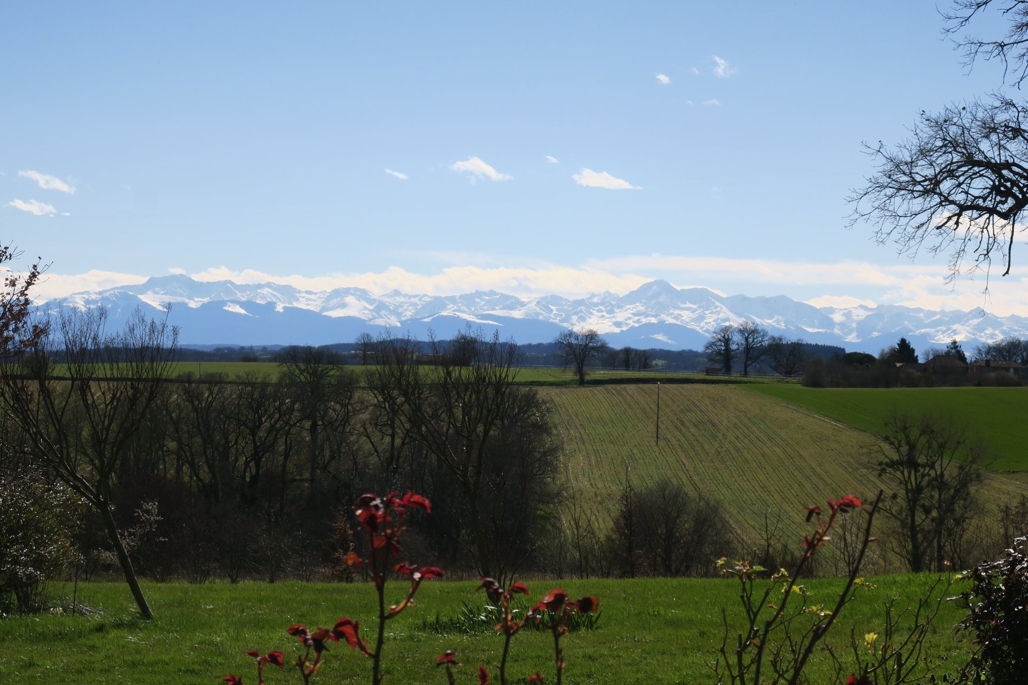 Vente Maison à Mirande 24 pièces