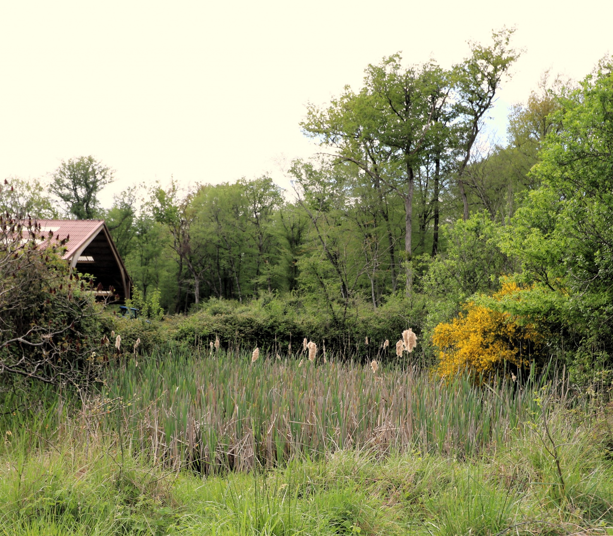 Vente Maison à Simorre 4 pièces