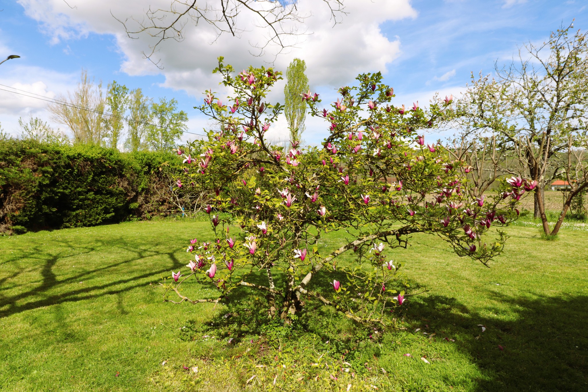 Vente Maison à Mirande 5 pièces