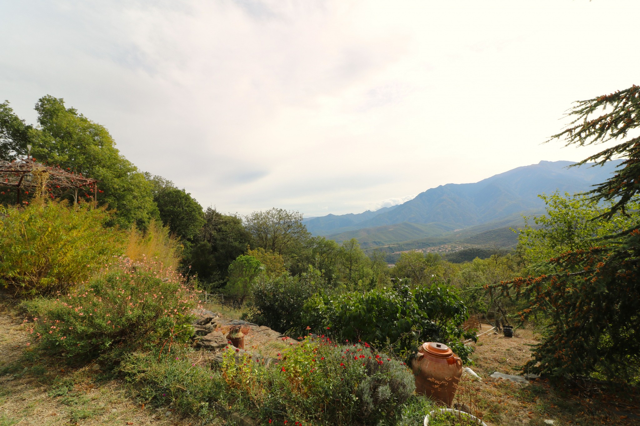 Vente Maison à Prades 12 pièces