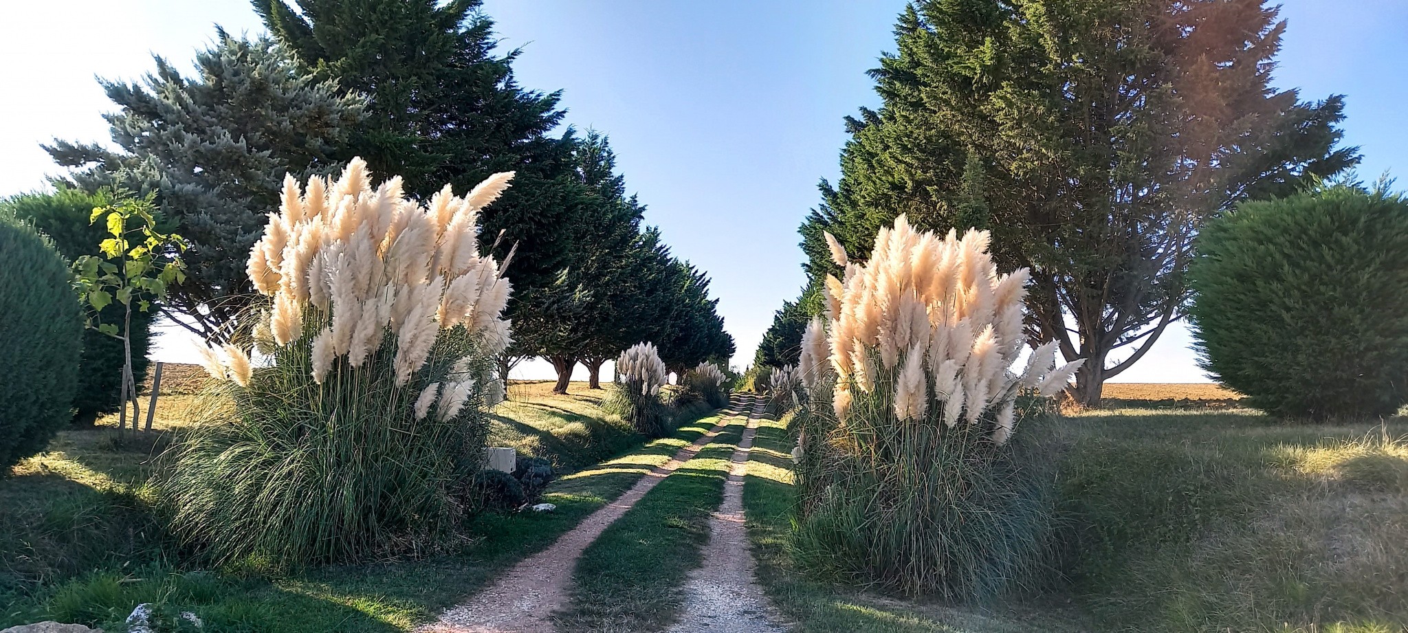 Vente Maison à Castelnau-Barbarens 8 pièces