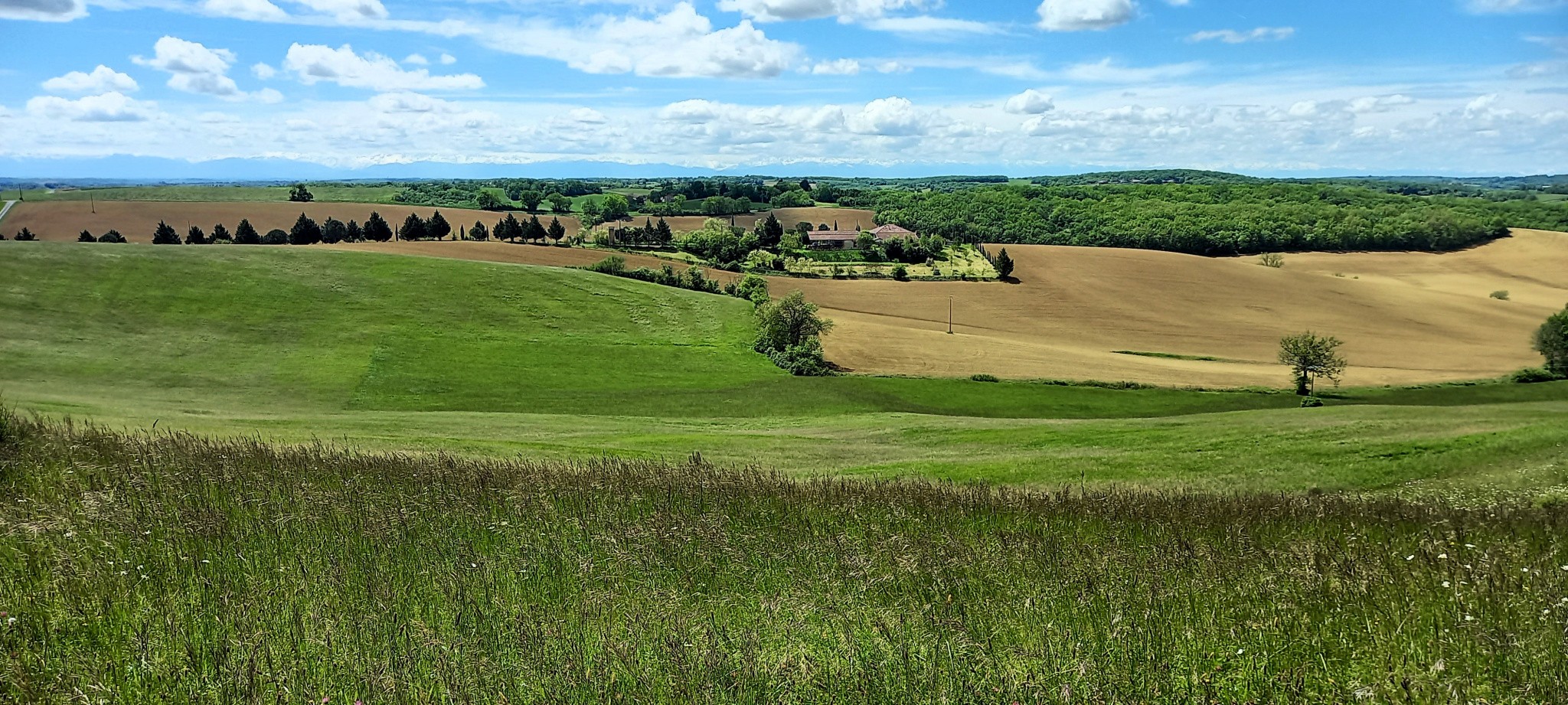 Vente Maison à Castelnau-Barbarens 8 pièces