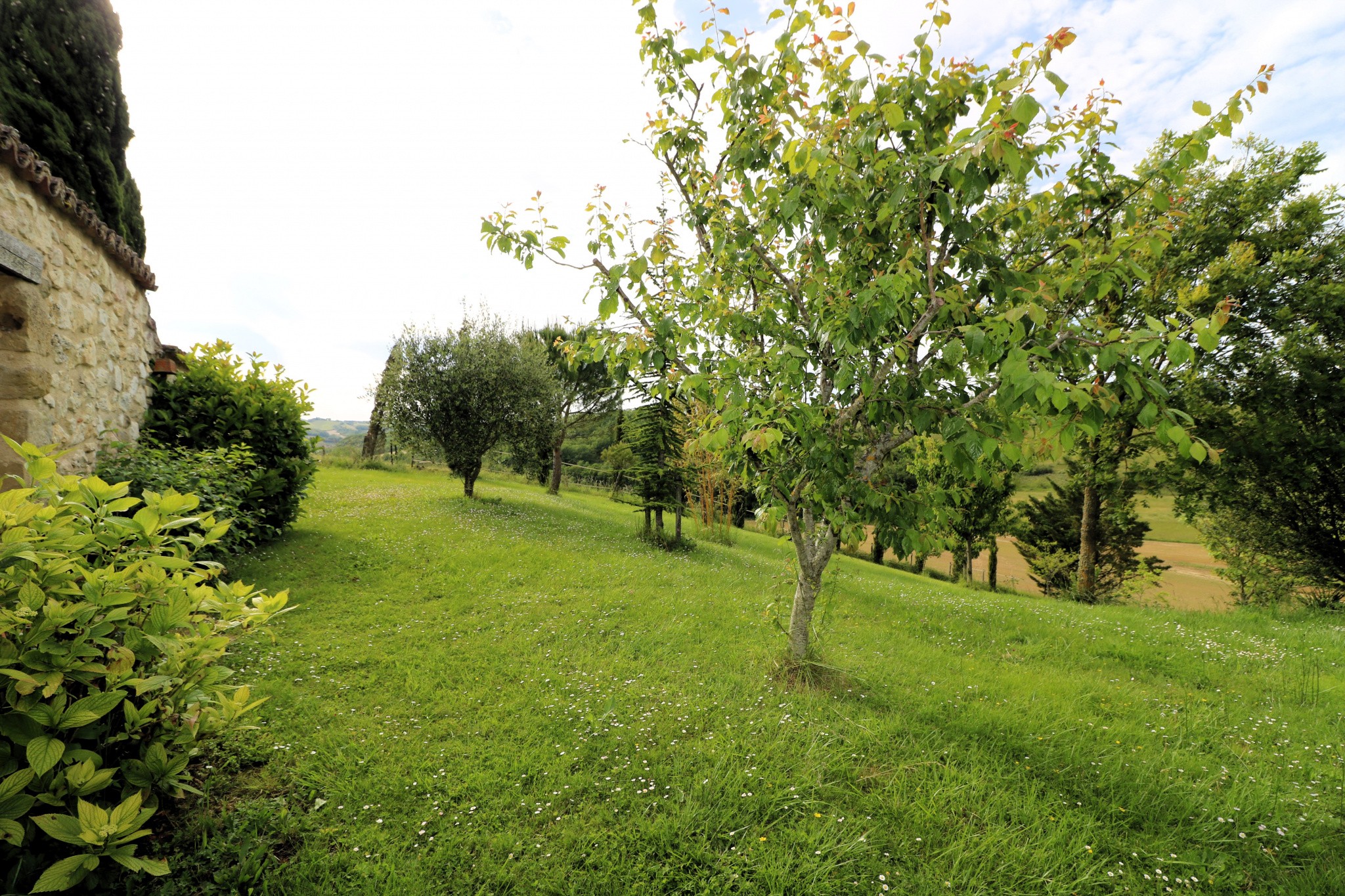 Vente Maison à Castelnau-Barbarens 8 pièces