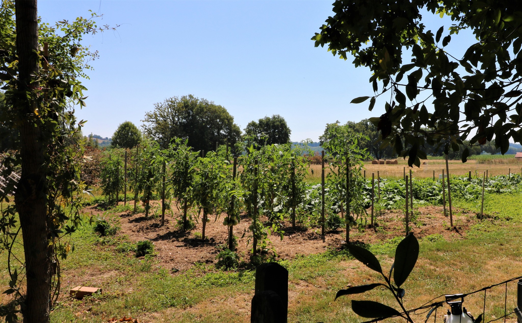 Vente Maison à Miélan 14 pièces