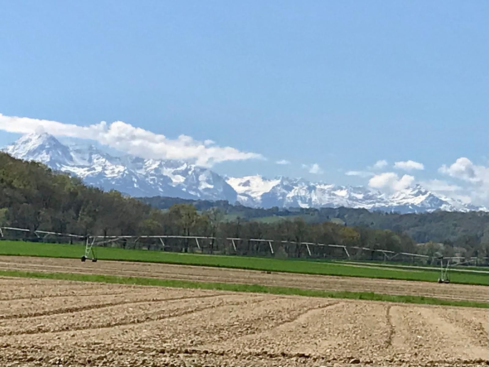 Vente Maison à Trie-sur-Baïse 9 pièces