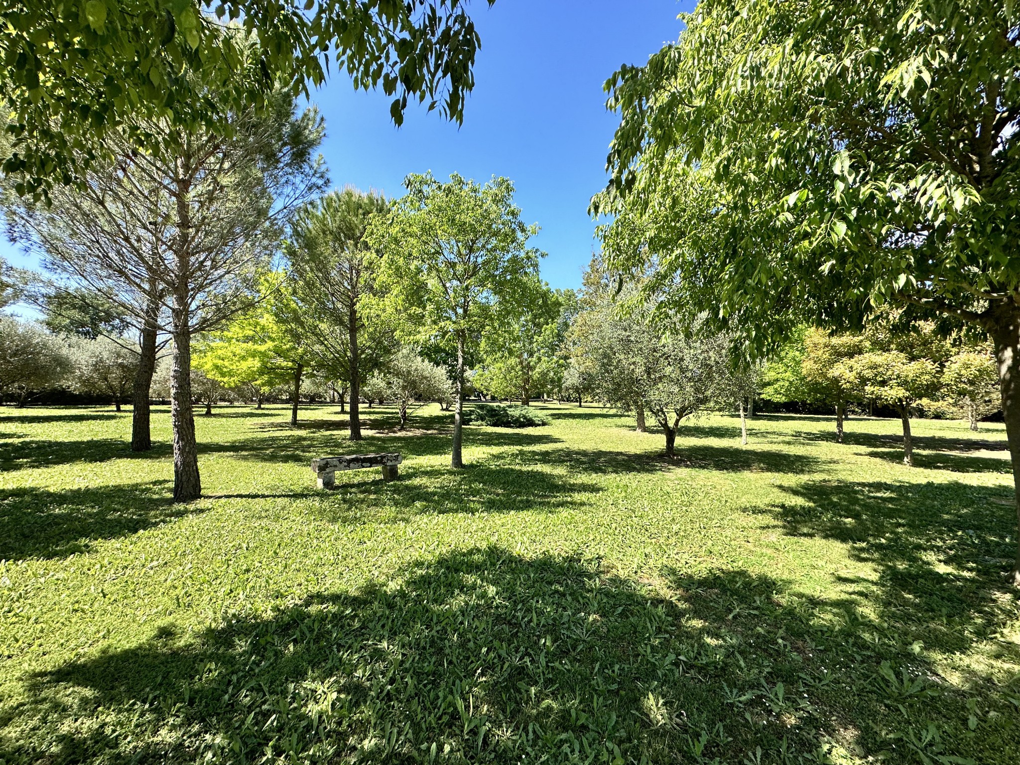 Vente Maison à Saint-Chaptes 4 pièces