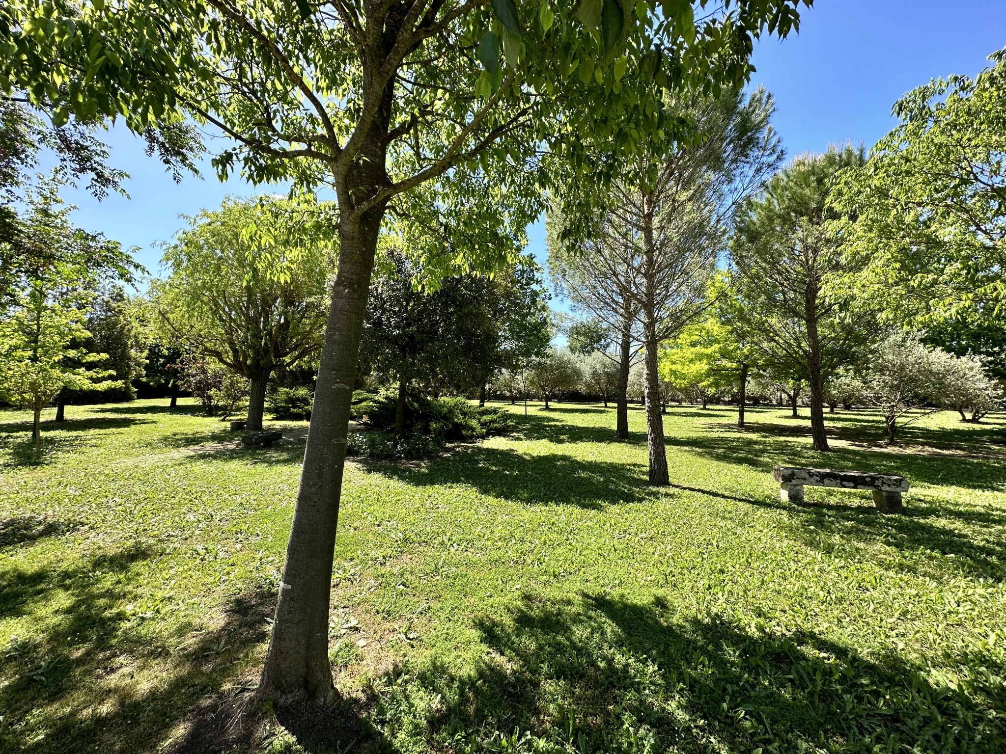 Vente Maison à Saint-Chaptes 4 pièces