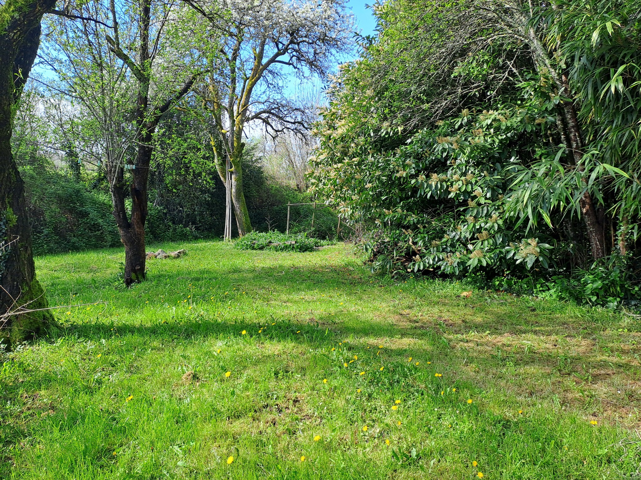 Vente Maison à les Eyzies-de-Tayac-Sireuil 4 pièces