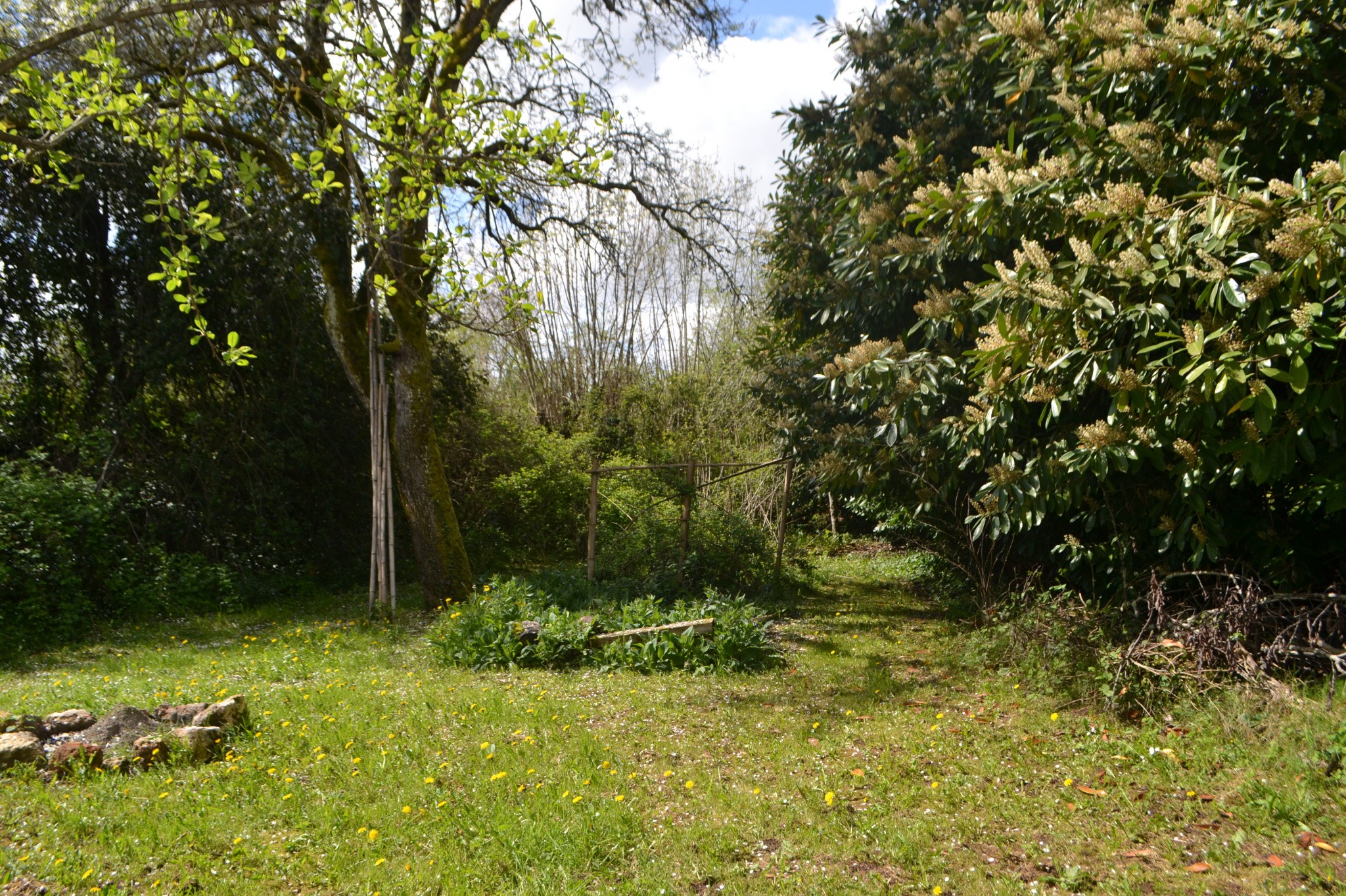 Vente Maison à les Eyzies-de-Tayac-Sireuil 4 pièces