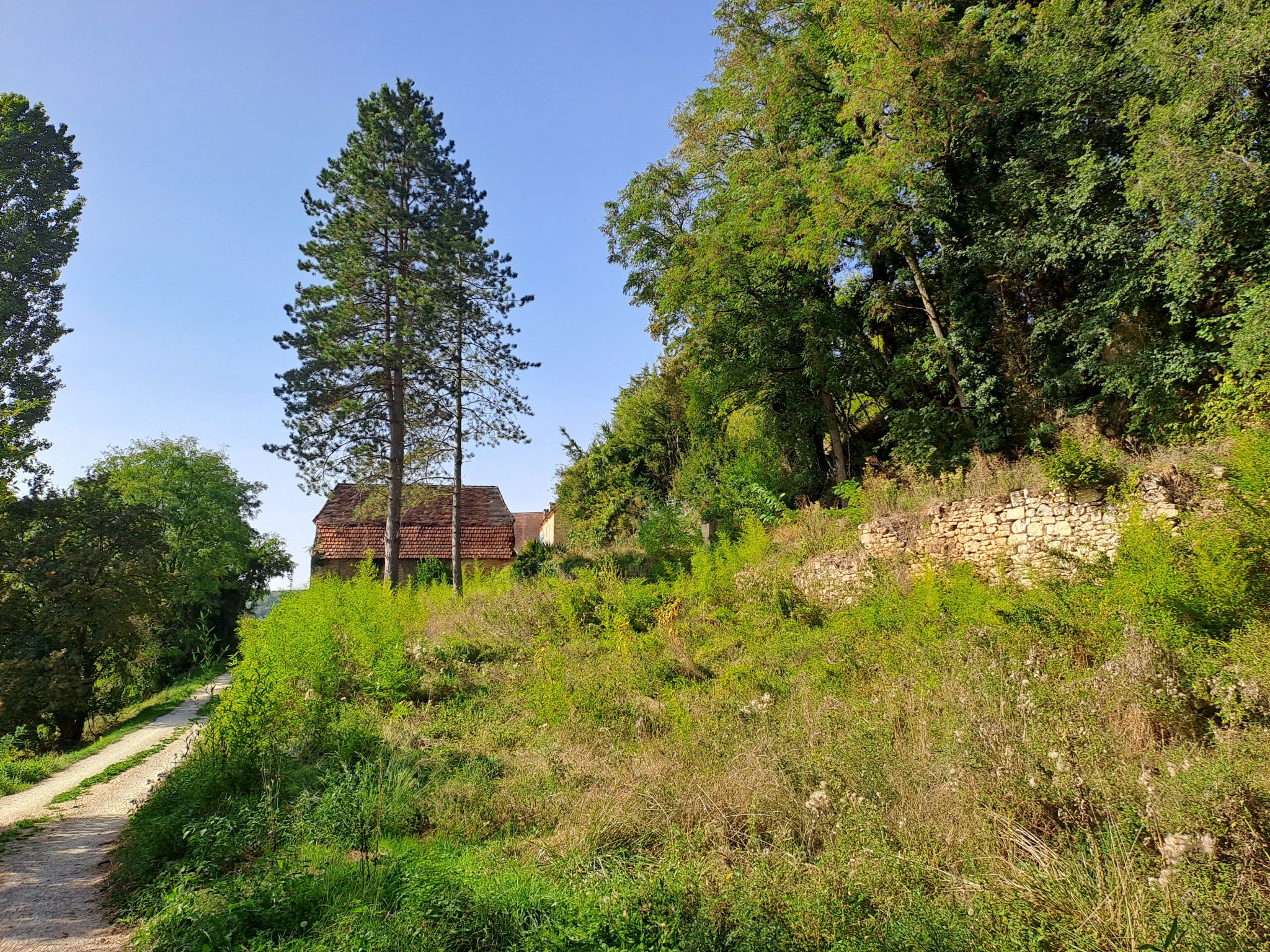 Vente Maison à les Eyzies-de-Tayac-Sireuil 7 pièces