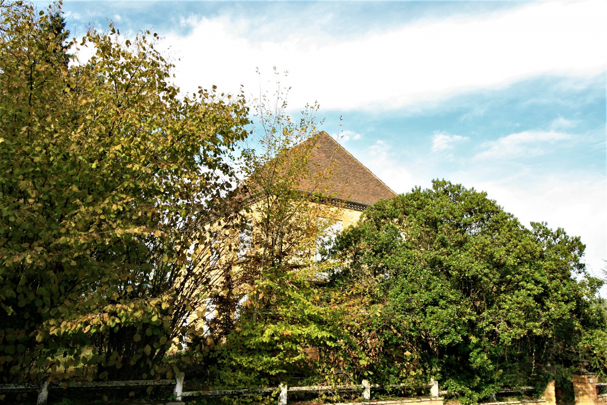 Vente Maison à le Buisson-de-Cadouin 10 pièces