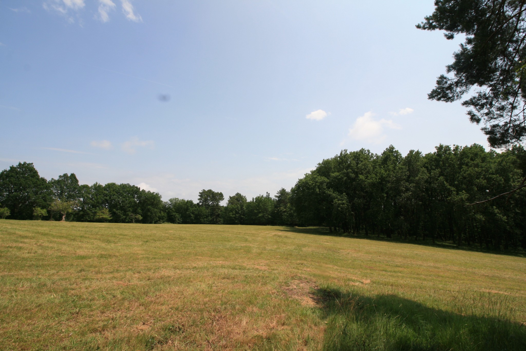 Vente Maison à les Eyzies-de-Tayac-Sireuil 9 pièces