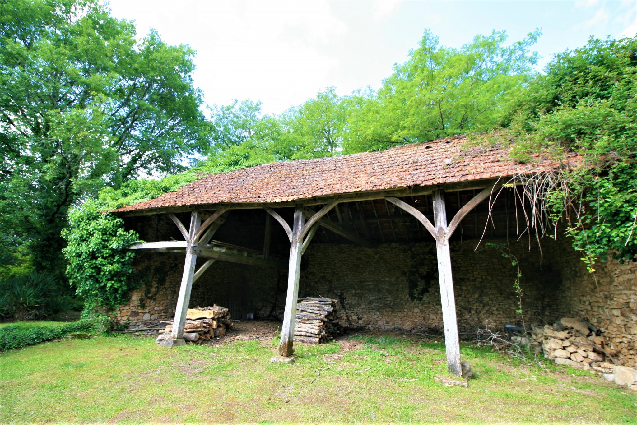 Vente Maison à les Eyzies-de-Tayac-Sireuil 9 pièces