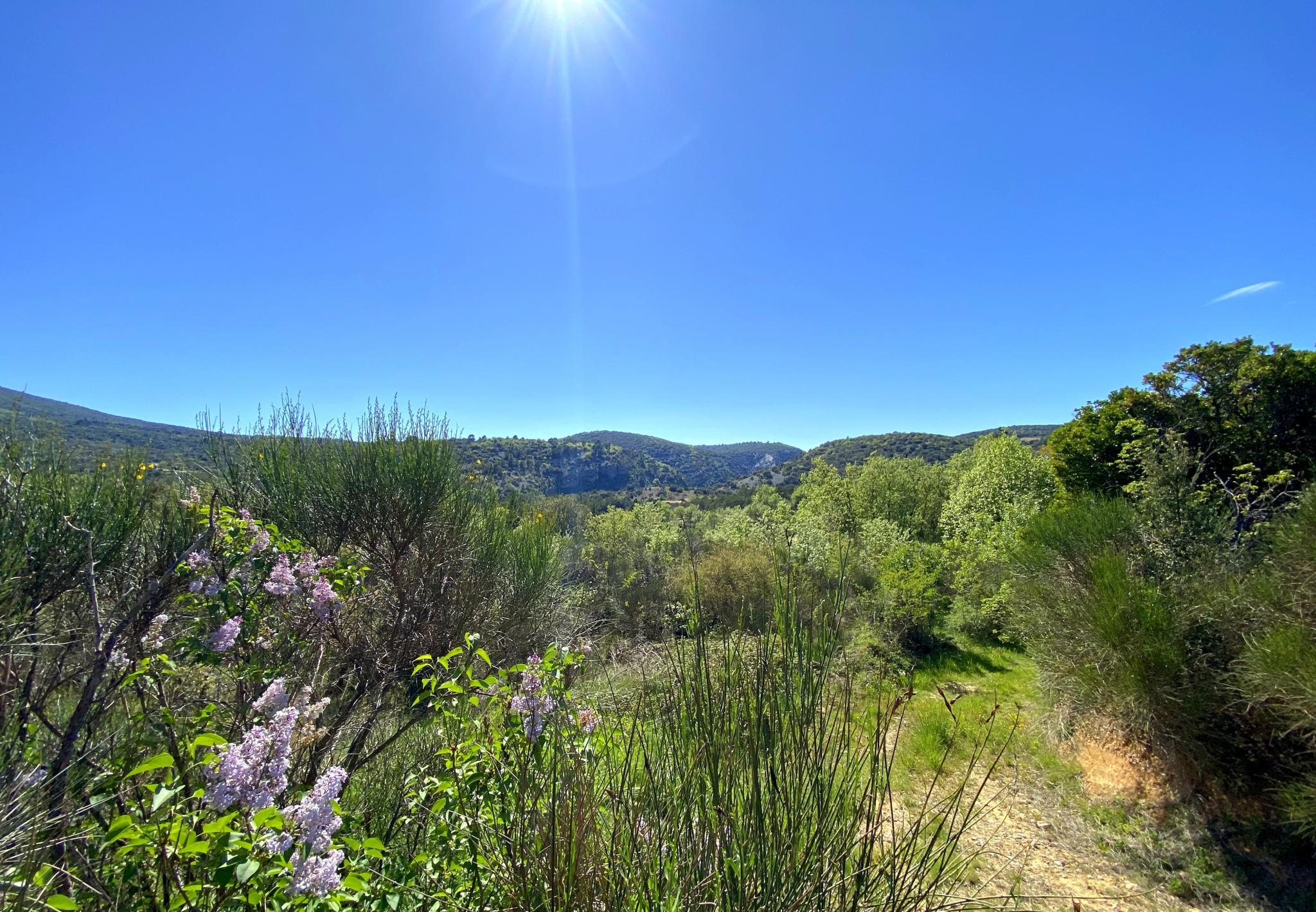 Vente Maison à Vaison-la-Romaine 11 pièces