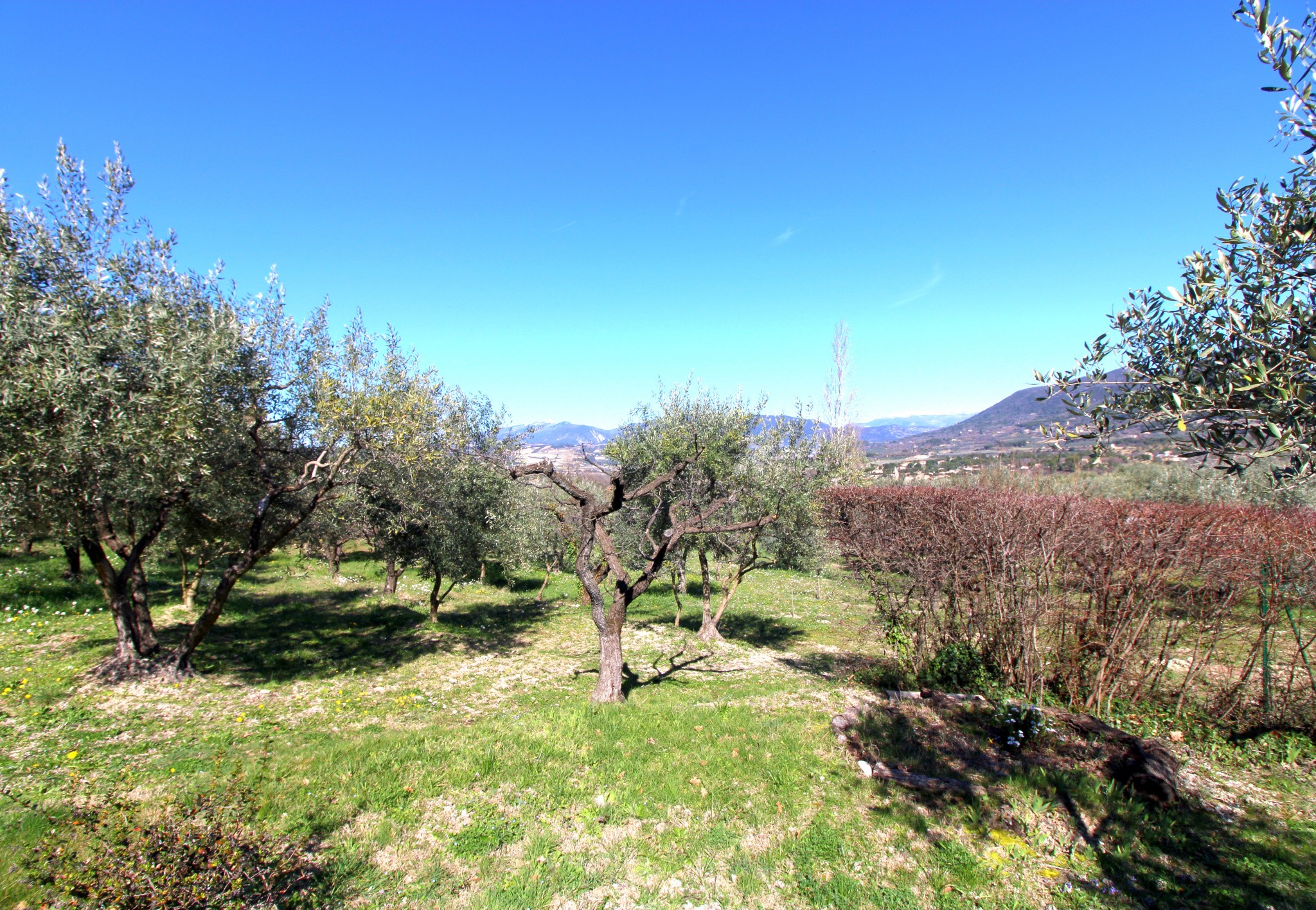 Vente Maison à Vaison-la-Romaine 8 pièces