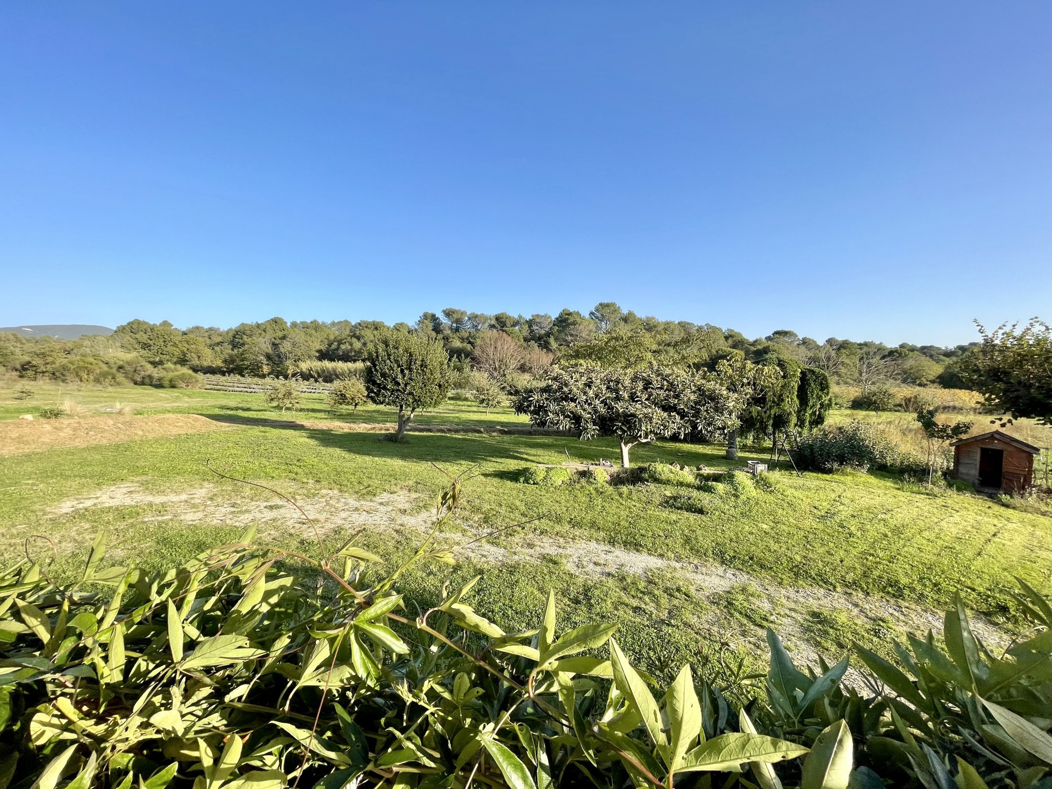 Vente Maison à Vaison-la-Romaine 6 pièces