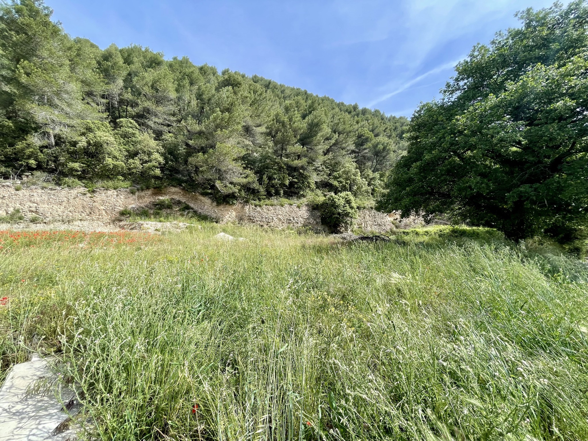 Vente Terrain à Vaison-la-Romaine 0 pièce