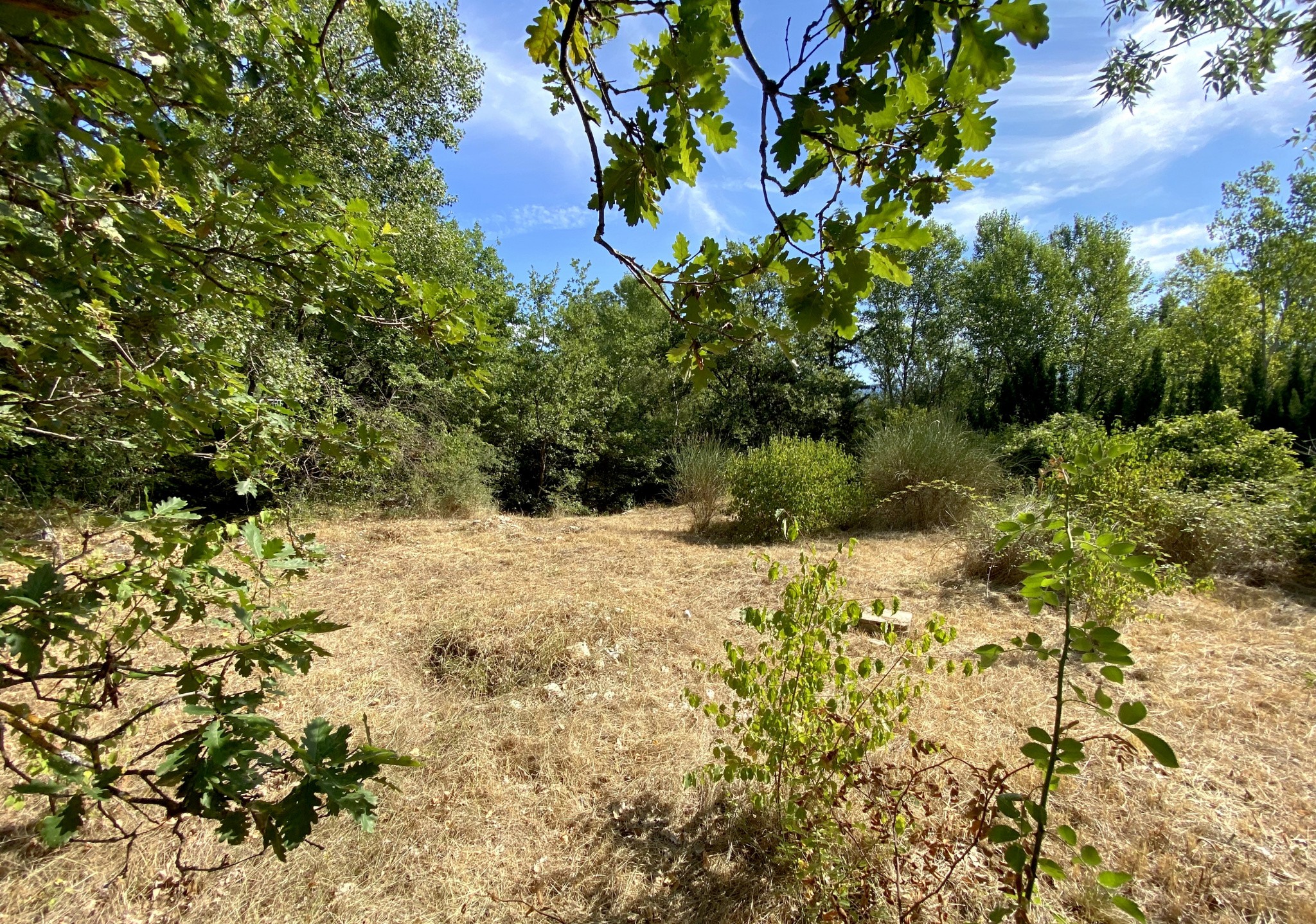 Vente Terrain à Buis-les-Baronnies 0 pièce