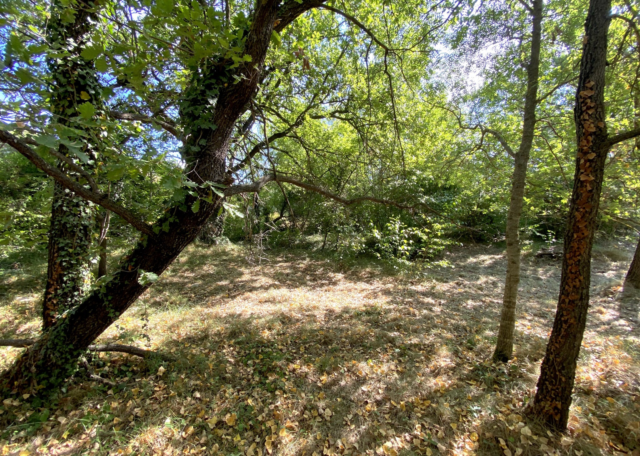 Vente Terrain à Buis-les-Baronnies 0 pièce