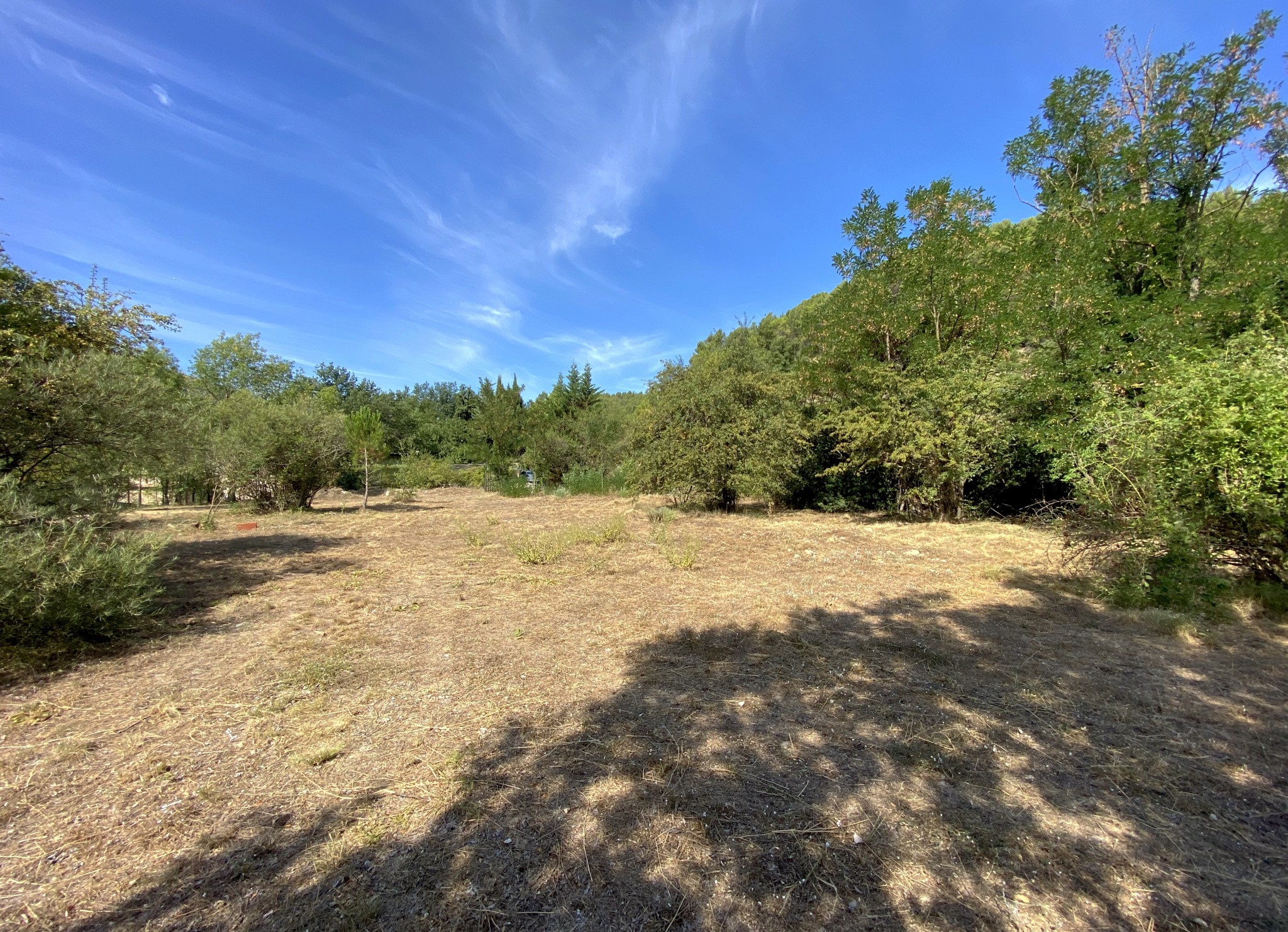 Vente Terrain à Buis-les-Baronnies 0 pièce