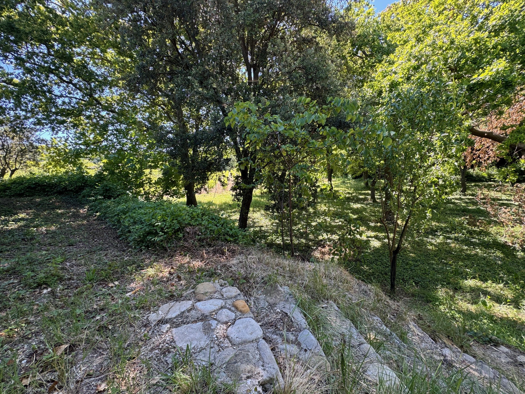 Vente Maison à Vaison-la-Romaine 13 pièces