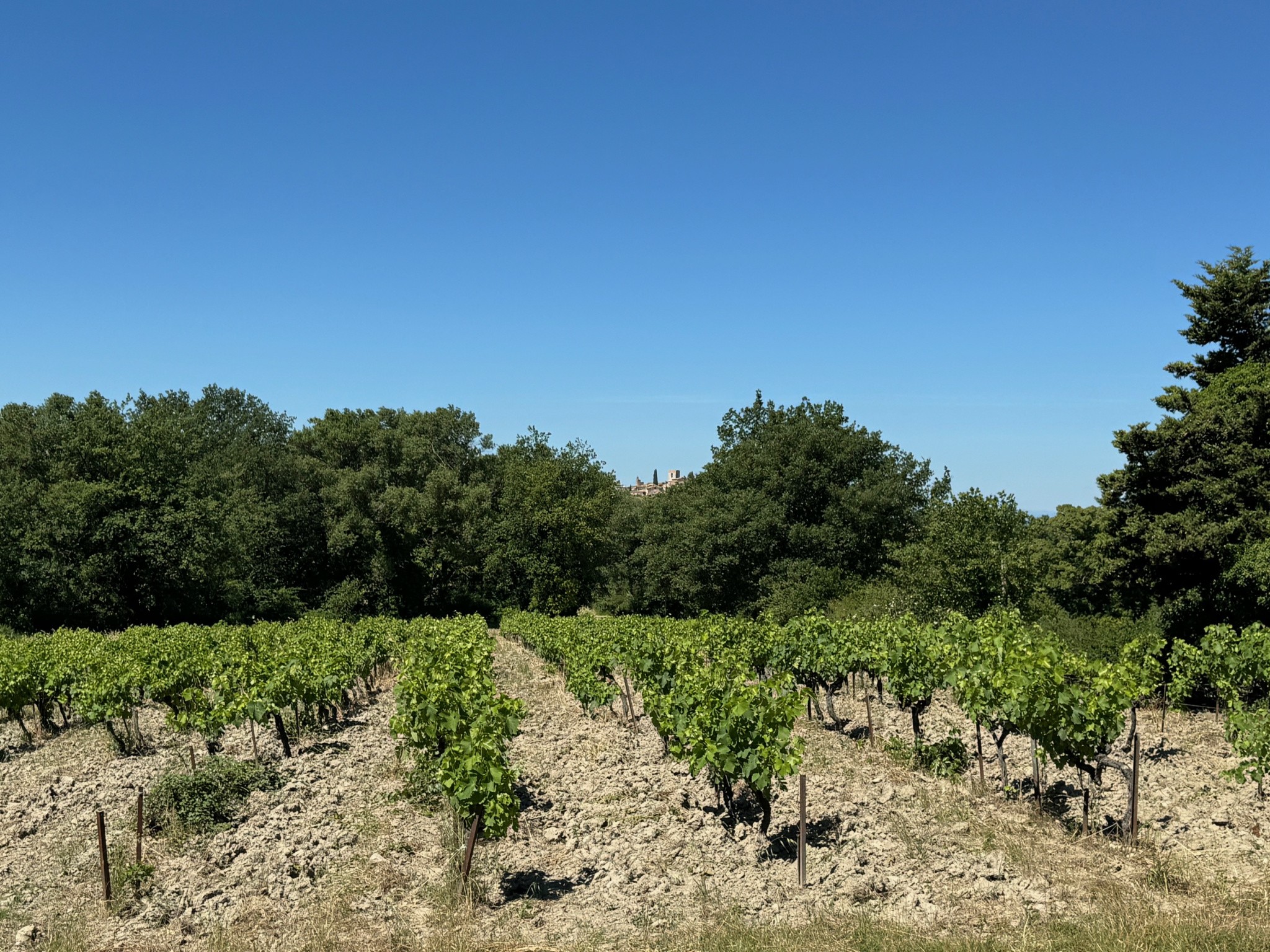 Vente Maison à Vaison-la-Romaine 13 pièces