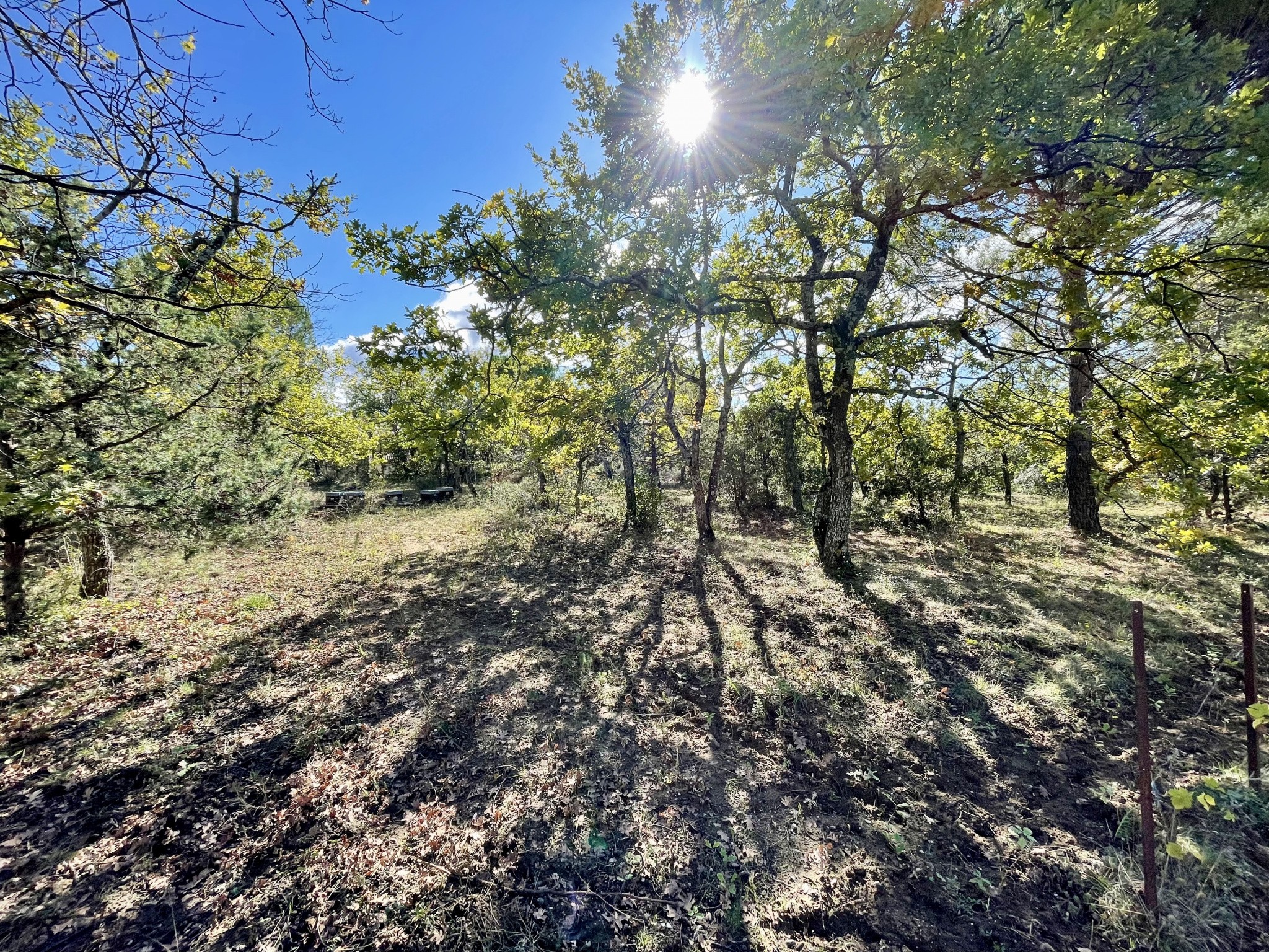 Vente Maison à Vaison-la-Romaine 5 pièces