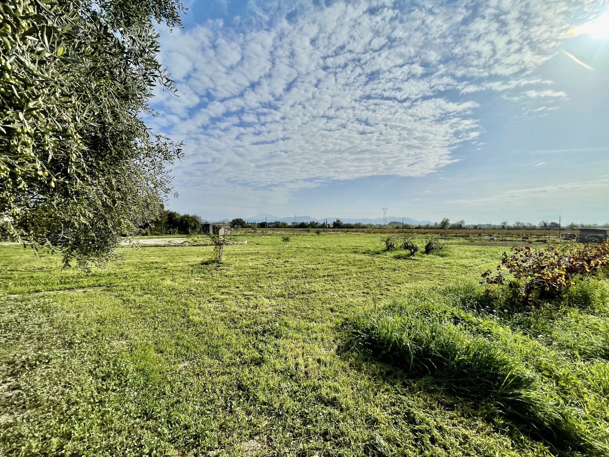 Vente Maison à Vaison-la-Romaine 4 pièces