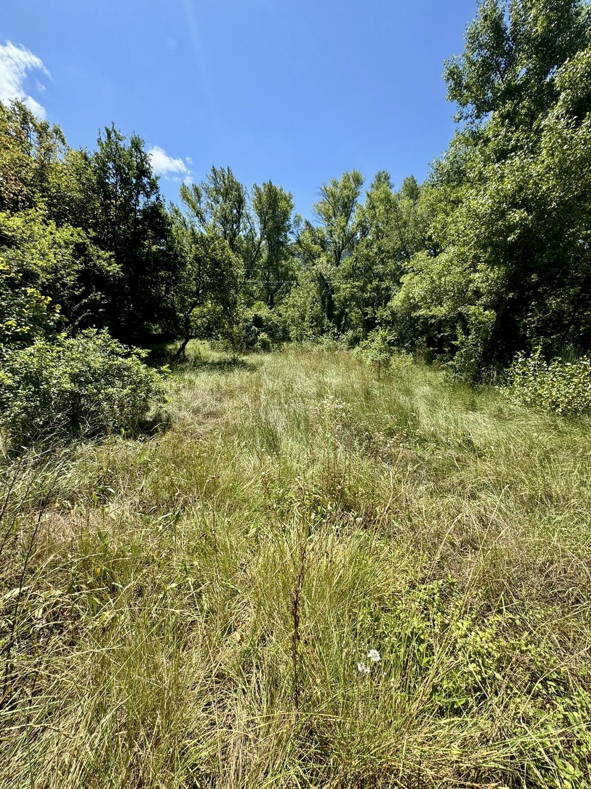 Vente Terrain à Buis-les-Baronnies 0 pièce