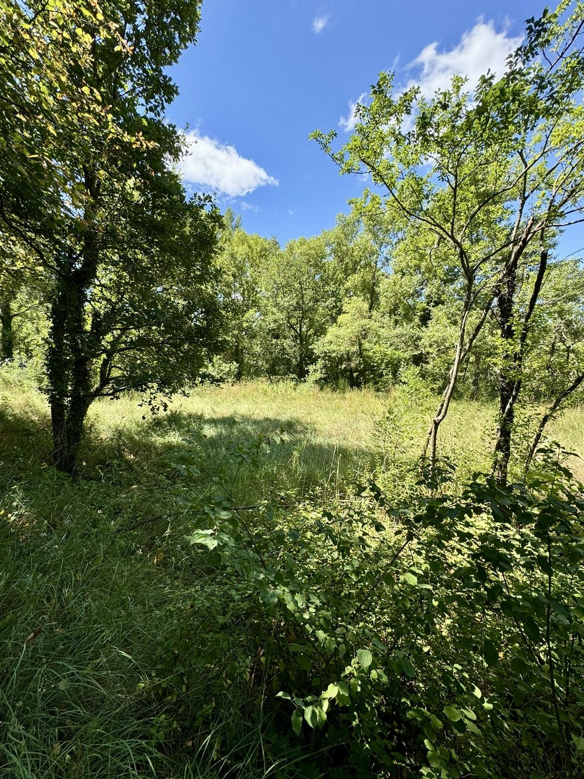 Vente Terrain à Buis-les-Baronnies 0 pièce