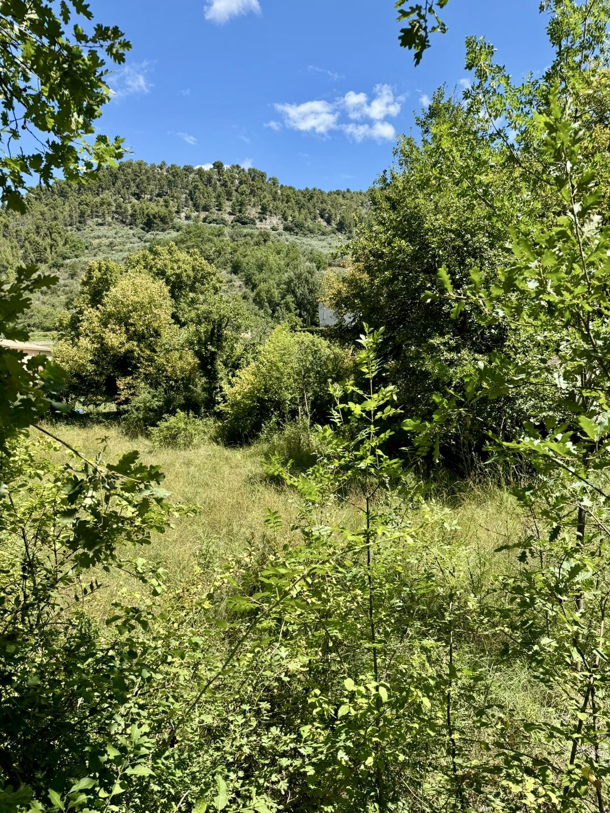 Vente Terrain à Buis-les-Baronnies 0 pièce