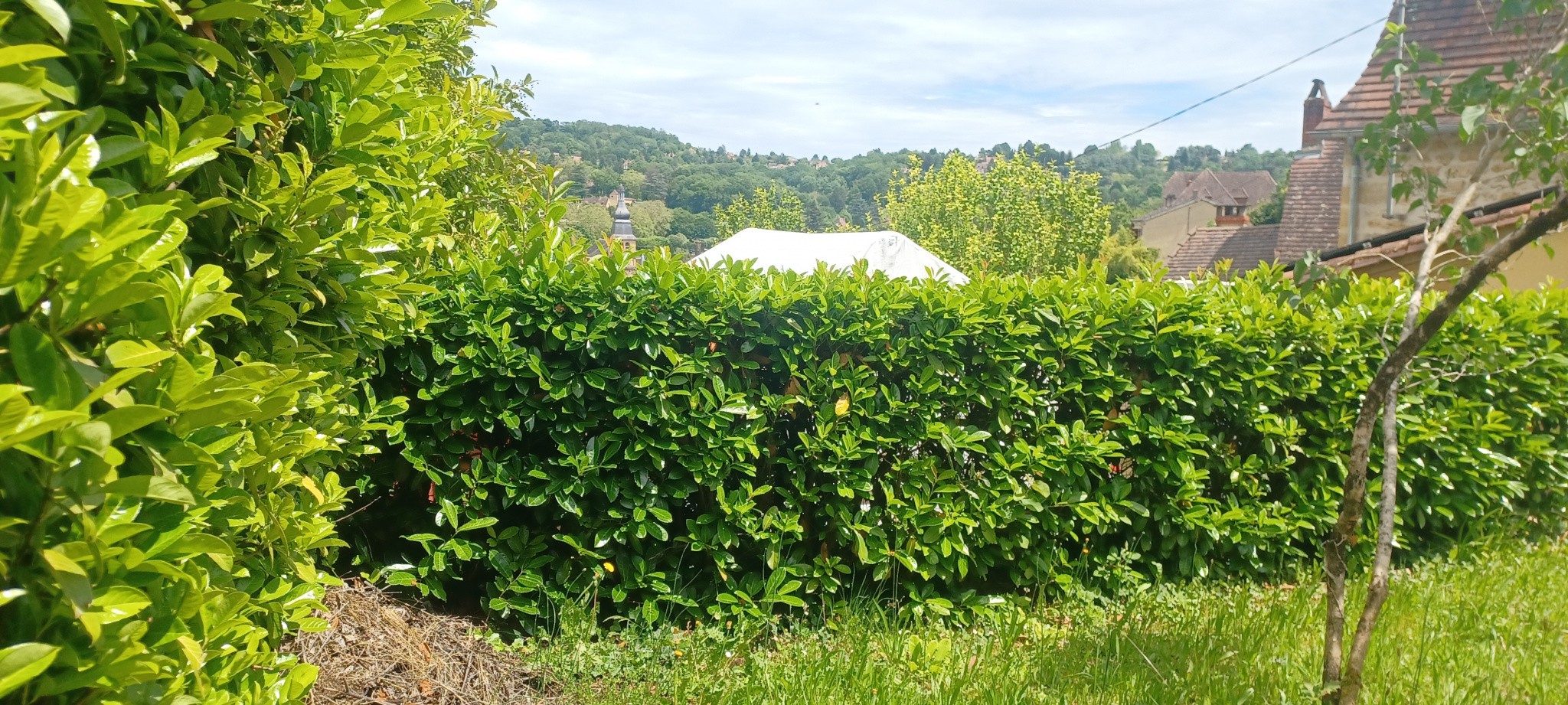 Vente Maison à Sarlat-la-Canéda 3 pièces